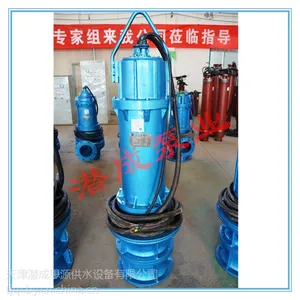天津潜成泵业350QZB型潜水轴流泵电站给排水农业排水灌溉工业排水