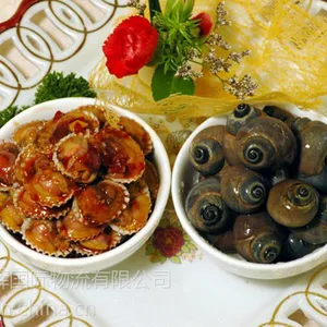 �ൺ����ʲô����Ҫ�������ʸ�֤����Ķ���
