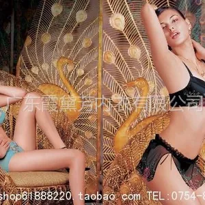 供应霞黛芳文胸正品 魔术垫集中内衣加厚B杯聚拢文胸8382