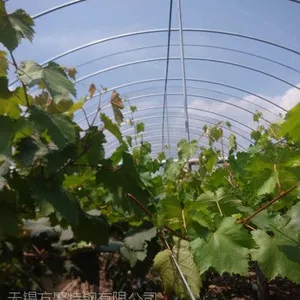 武汉现货批发蔬菜大棚架子管3寸(3.25)镀锌大棚管