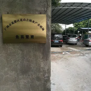 广州市花都区花山吉鲳水产养殖场