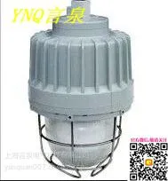 CZ0871/2B-J50WYJ防爆应急灯