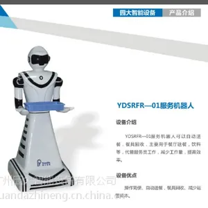进口工艺 厂家直销 服务机器人