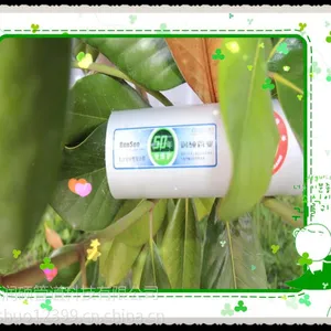 רҵ�ܲ������� ��˶���Ͻ����PERT���Ϲ�/���Ͻ���ܸ��Ϲ�
