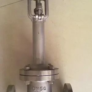 DZ41W-25加长杆超低温闸阀