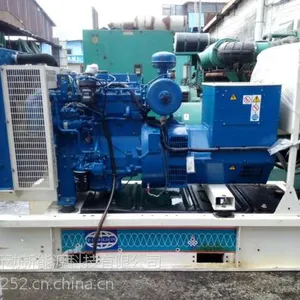 ������ͷӦ�����������-��˹��˹150KW�������***