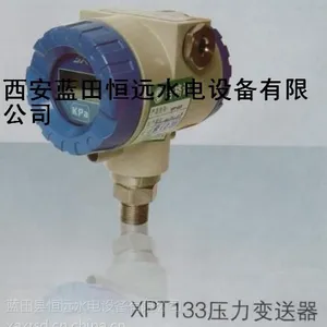 恒远供应进口XPT133-100MPa压力测控仪表