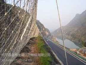 高速公路边坡网,高速公路护坡网,公路主动防护网