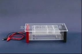 琼脂糖水平电泳仪价格 WD-RDY-SP6
