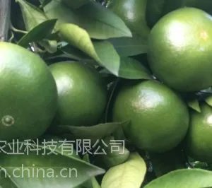 �Ƹ���Ӧ�����۽�����Ƹ������۽�������������Ƹ������۽������ۼ۸�