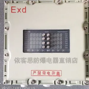 带观察窗按键防爆仪表箱可视防爆仪表窗口配电箱防爆仪表控制箱