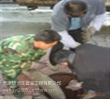 宁河现代产业园清掏污水井污垢13920921668