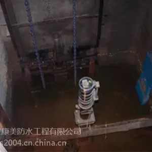 ���������ҷ���ˮά�޶�©����