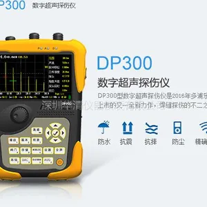 DP300���ֳ���̽����-- DP300-- DP300������