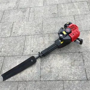 ����ר������������ С����������� �����ƴ������������