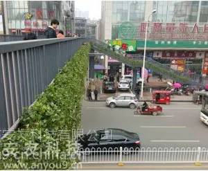 �������������̻����䰲�ѿƼ�Ϊ����Ӧ