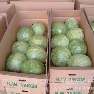 平度纸箱厂批发供应白菜包装箱定做外包装箱