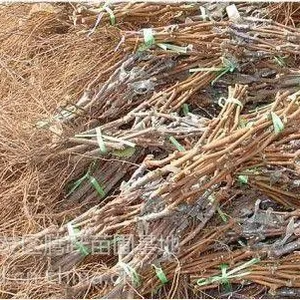 �޽�����ָ�����硢��Ʒ������ָ�������硢����ָ�����������
