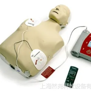 小安妮训练模型 020050