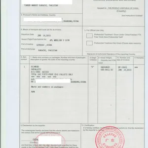 中国-巴基斯坦FTA 中国-巴基斯坦FTA