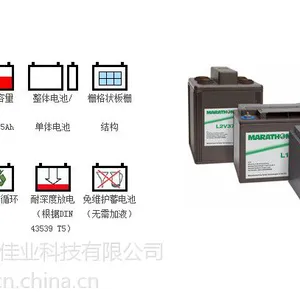 GNB����S12/65����������׵��12V65AH����������