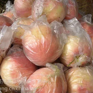 陕西大荔膜袋超越毛桃,秦王桃***格