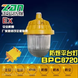 正安防爆-BPC8720防爆平台灯/金卤光源