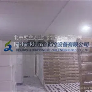 水饺速冻冷库安装|速冻低温冷库设计|冷库建造