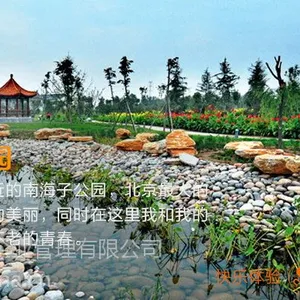 北京快乐体验团建营之北京南海子公园