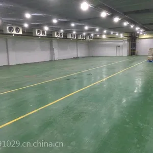 大冷库出租 水果冷库租赁