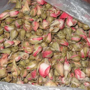 供应供应玫瑰花蕾/供应红色玫瑰花蕾/粉红色玫瑰花蕾供应商