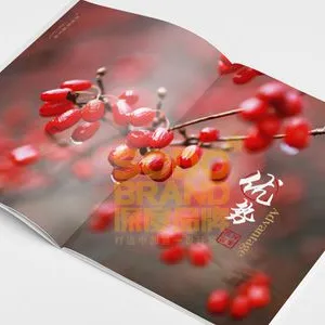 供应郑州企业VI设计、郑州标志设计公司