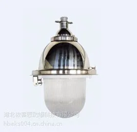 防爆防腐灯 仓库厂房加油站防爆灯BFD55