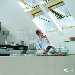 南京阁楼天窗 斜屋顶开天窗 地下室采光窗