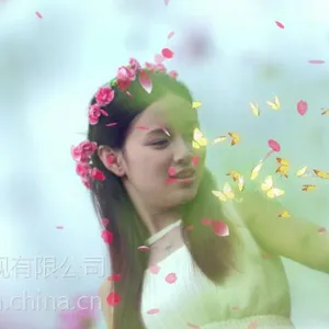 品牌推广品牌概念微电影拍摄