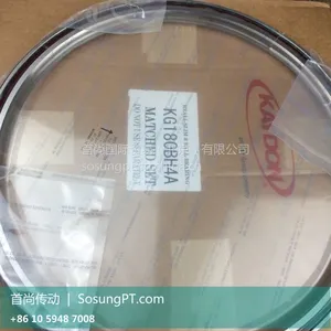 K07020AR0 K07020ARO������ϵ����� KAYDON