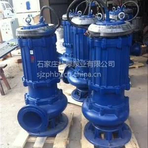 300QW800-20-75Ǳˮ��