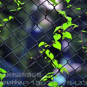 ����������Χ����˿��ѧУ��ר�ø�������ȫ������������