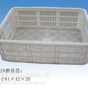 塑料蘑菇筐平菇筐