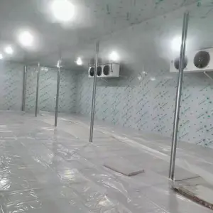�߲���⽨��ı�Ҫ�ԡ������߲���⡢�̳��߲���⡢�����߲���⡢�人�߲����