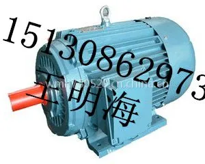 供应衡水永动YX3-355M1-2-220KW高效节能三相异步电动机