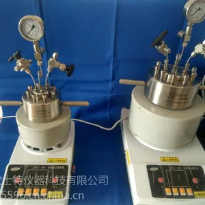 OST反应装置实验室小型高压反应釜