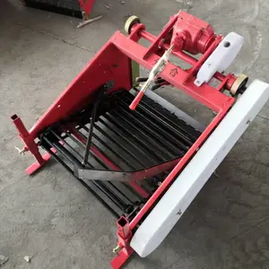 �����ھ�� �ع������ھ�� ������