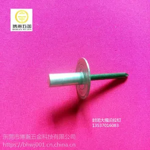 房屋光板用封闭型大帽抽芯铆钉｜防水封闭型铆钉4.8