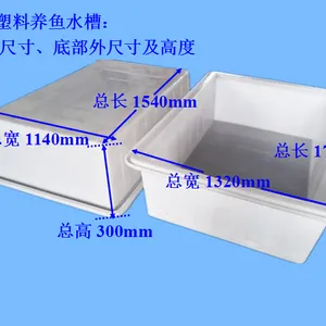 550升养鱼水槽长1.6米*宽1.2米广东塑料鱼箱全新PE料厂家直销