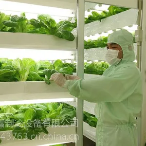 山东潍坊市果蔬小型冷库建设