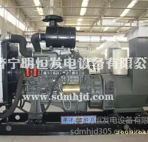 ��ӦΫ�񻪷�100kw���ͷ������ ˮ�䷢�綯��ֱ��