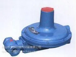 佛山安特尔现货供应鑫铭RTZ-31(21)燃气减压阀 调压器