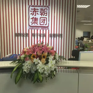 广东赤朝科技有限公司