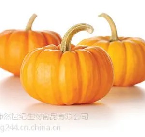 浓缩南瓜汁